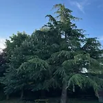 La Ferme De La Place